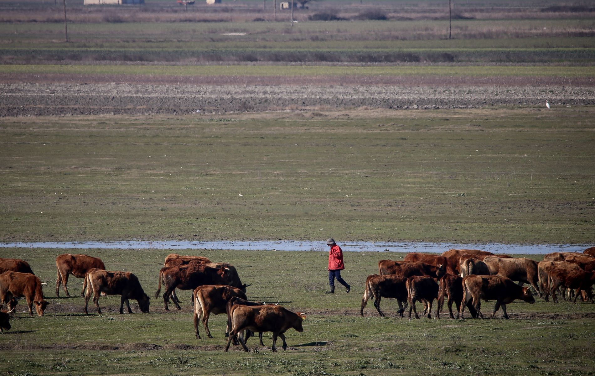 Επιδότηση έως 40.000 σε 9.336 νέους αγρότες – Σε αναμονή άλλοι 2.414