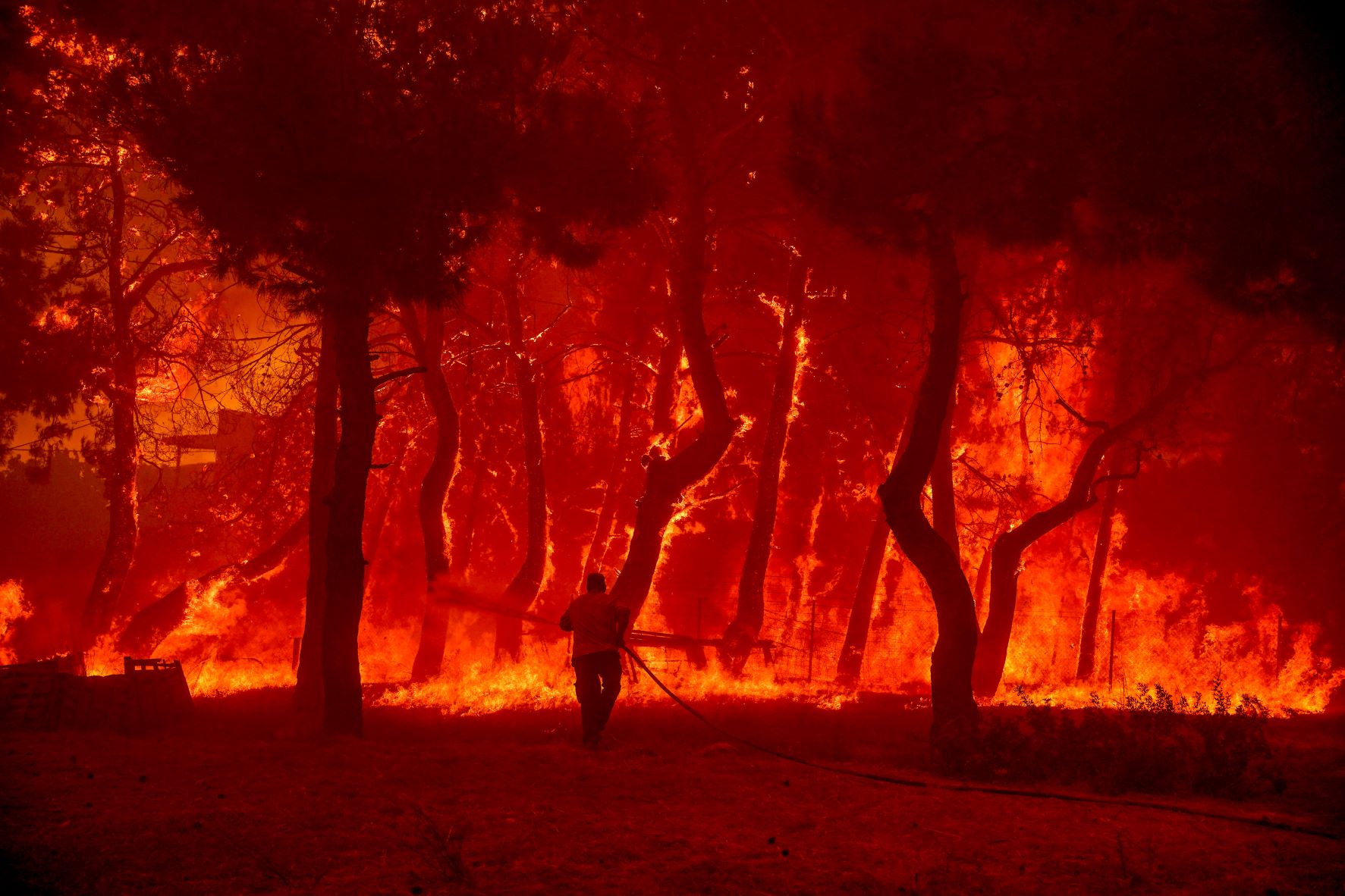 Πυρκαγιά στα Βατερά Λέσβου © (ΠΑΝΑΓΙΩΤΗΣ ΜΠΑΛΑΣΚΑΣ/EUROKINISSI)