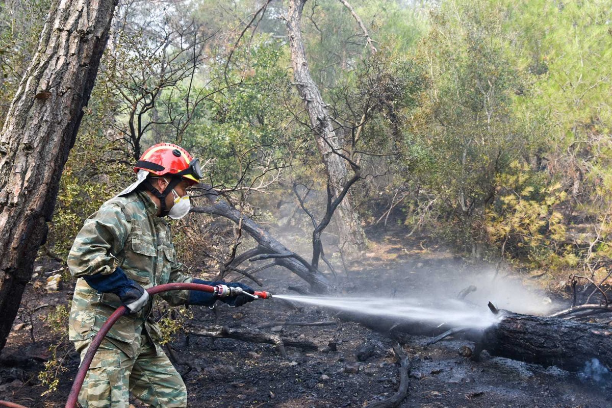 Πυρκαγιά στη Δαδιά Έβρου © Eurokinissi