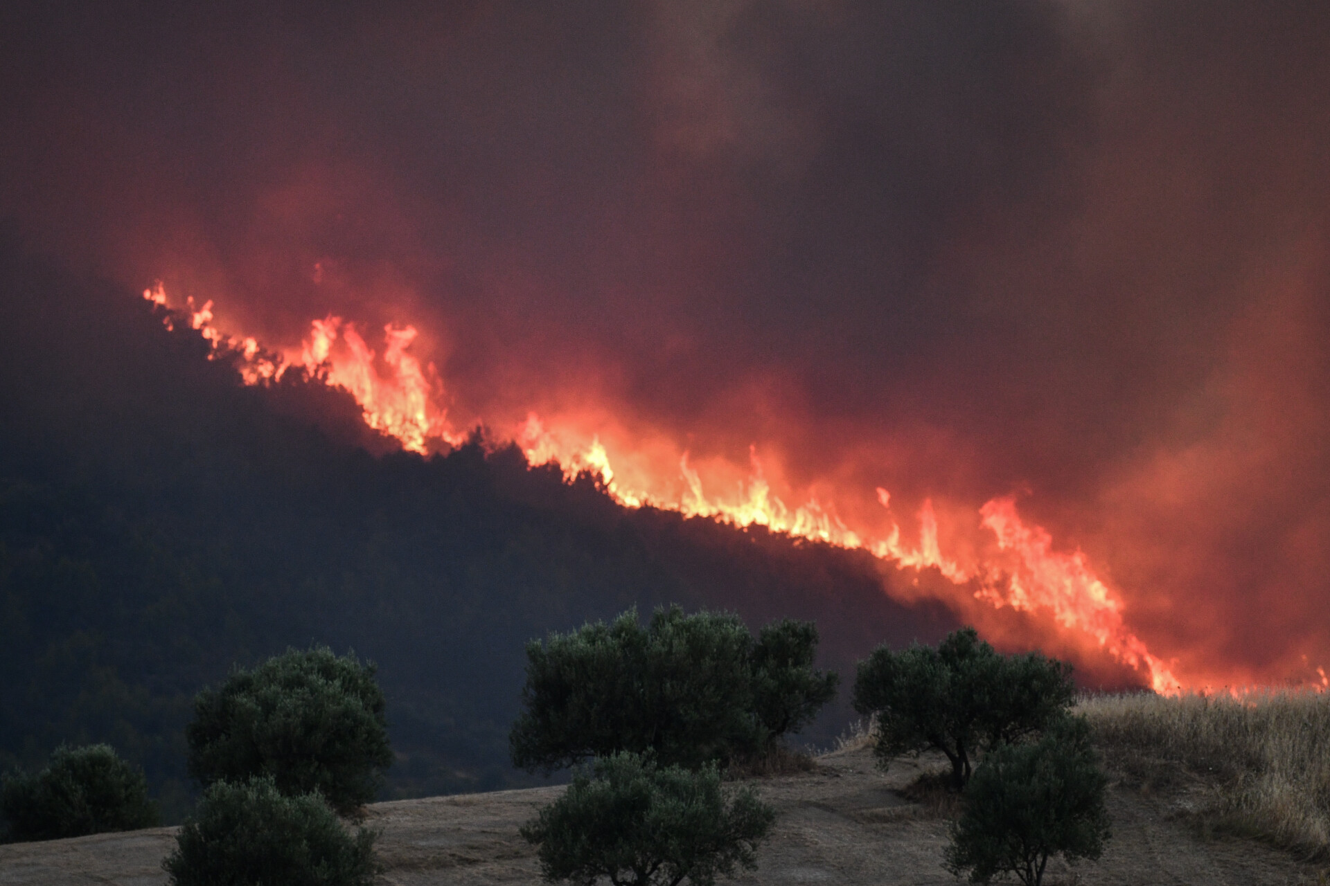 Ολονύκτιες μάχες με τις φλόγες σε Δαδιά, Λέσβο και Κρέστενα
