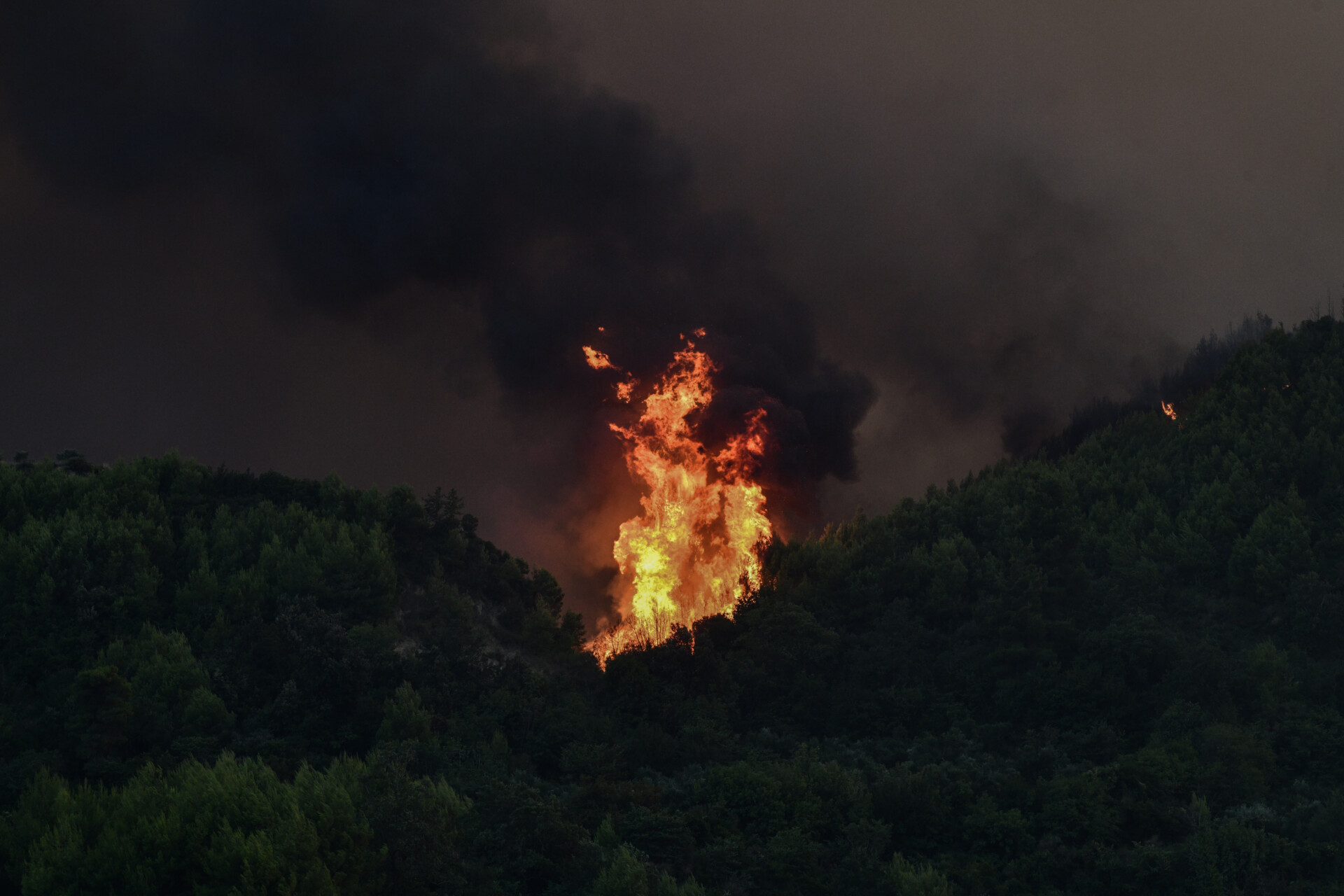 Μεγάλη πυρκαγιά στην Κρέστενα Ηλείας © (ILIALIVE.GR/ΓΙΑΝΝΗΣ ΣΠΥΡΟΥΝΗΣ/EUROKINISSI)