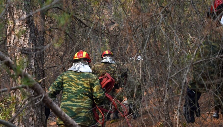 Οι Ένοπλες Δυνάμεις κατά τη φωτιά στη Δαδιά Έβρου ©ΓΡ. ΤΥΠΟΥ ΓΕΕΘΑ