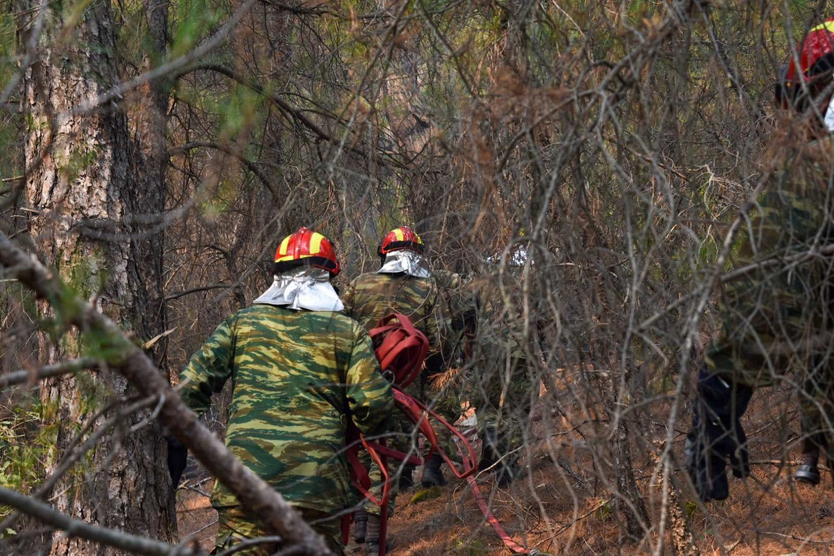Οι Ένοπλες Δυνάμεις κατά τη φωτιά στη Δαδιά Έβρου ©ΓΡ. ΤΥΠΟΥ ΓΕΕΘΑ