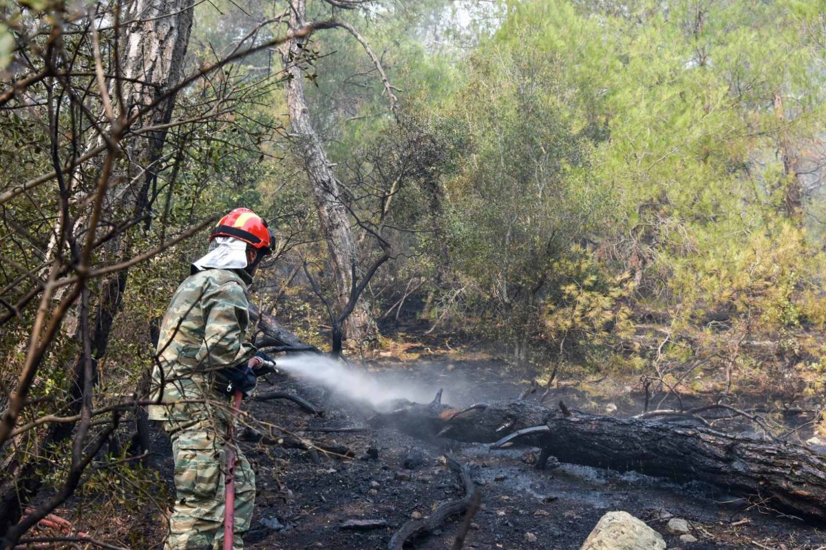 Φωτιά στον Έβρο ©Eurokinissi