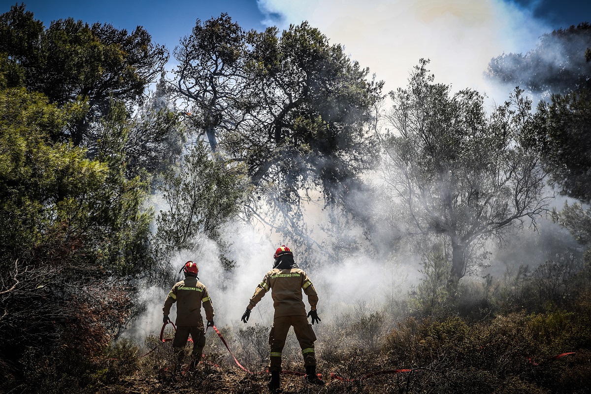 Σε ύφεση η φωτιά στην Πεντέλη – Μικρές εστίες σε Διώνη, Δασαμάρι
