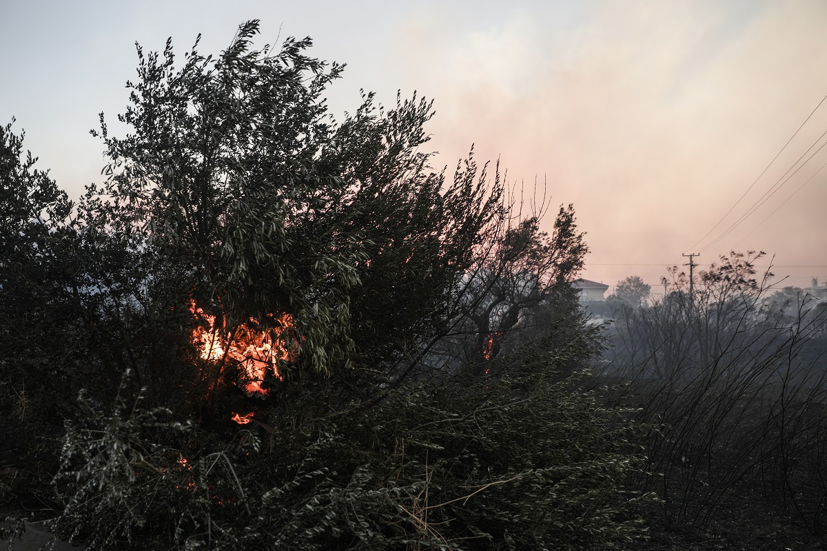 Λαγουβάρδος: Μέχρι το βράδυ θα έχουμε ενισχυμένους ανέμους
