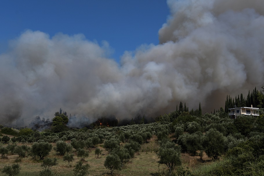 Φωτιές: Βελτιωμένη εικόνα σε Ηλεία, Λέσβο – Άρχισε να βρέχει στη Δαδιά