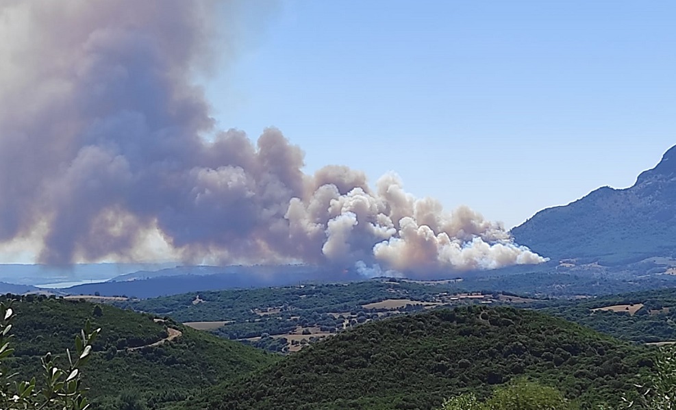 Φωτιά σε δασική έκταση στις Πόρτες Αχαΐας