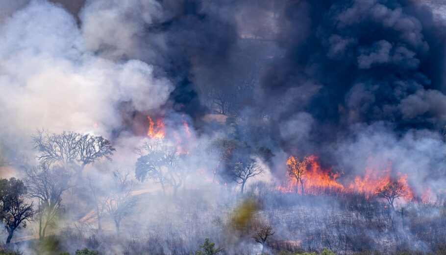 Φωτιές στην Ισπανία © EPA/ISMAEL HERRERO
