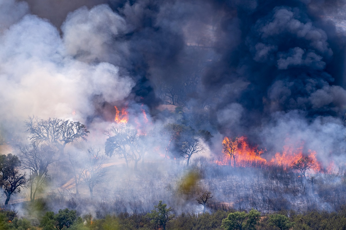 Φωτιές στην Ισπανία © EPA/ISMAEL HERRERO