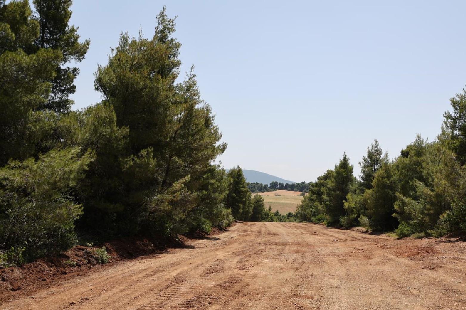 Νέες παρεμβάσεις προστασίας των δασών, ύψους 200 εκατ.