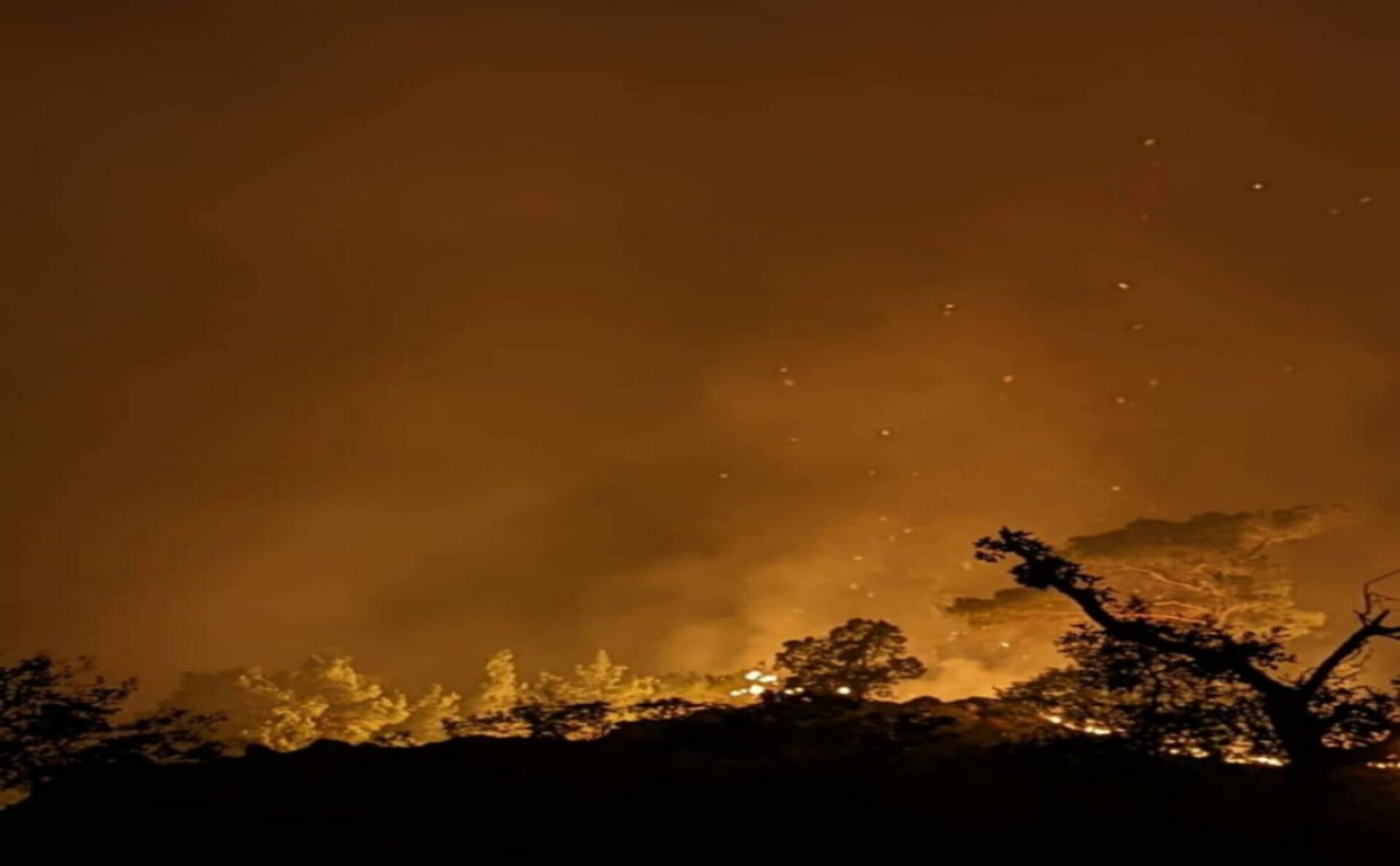 Πυρκαγιά στη Δαδιά Έβρου ©Evros-news.gr