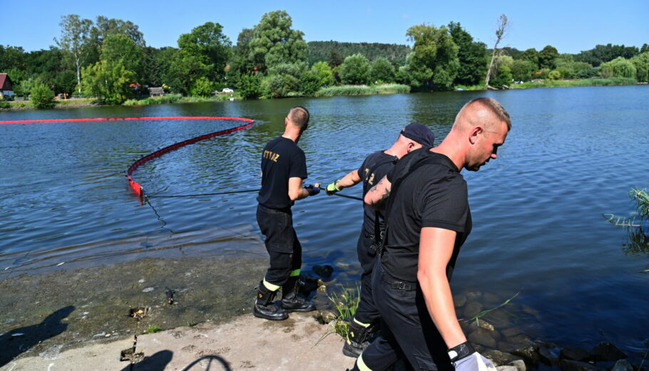 Πυροσβέστες περισυλλέγουν νεκρά ψάρια από τον ποταμό Όντερ στην Πολωνία © EPA/Marcin Bielecki POLAND OUT