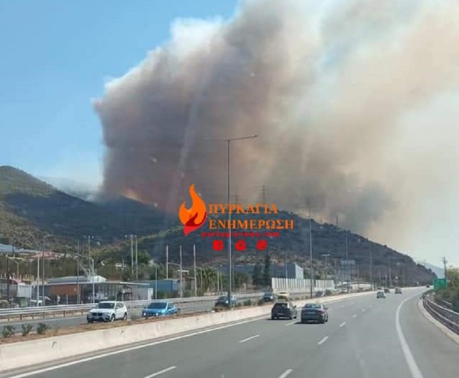 Φωτιά στη Νέα Πέραμο: Μήνυμα του 112 για εκκένωση προς Μέγαρα