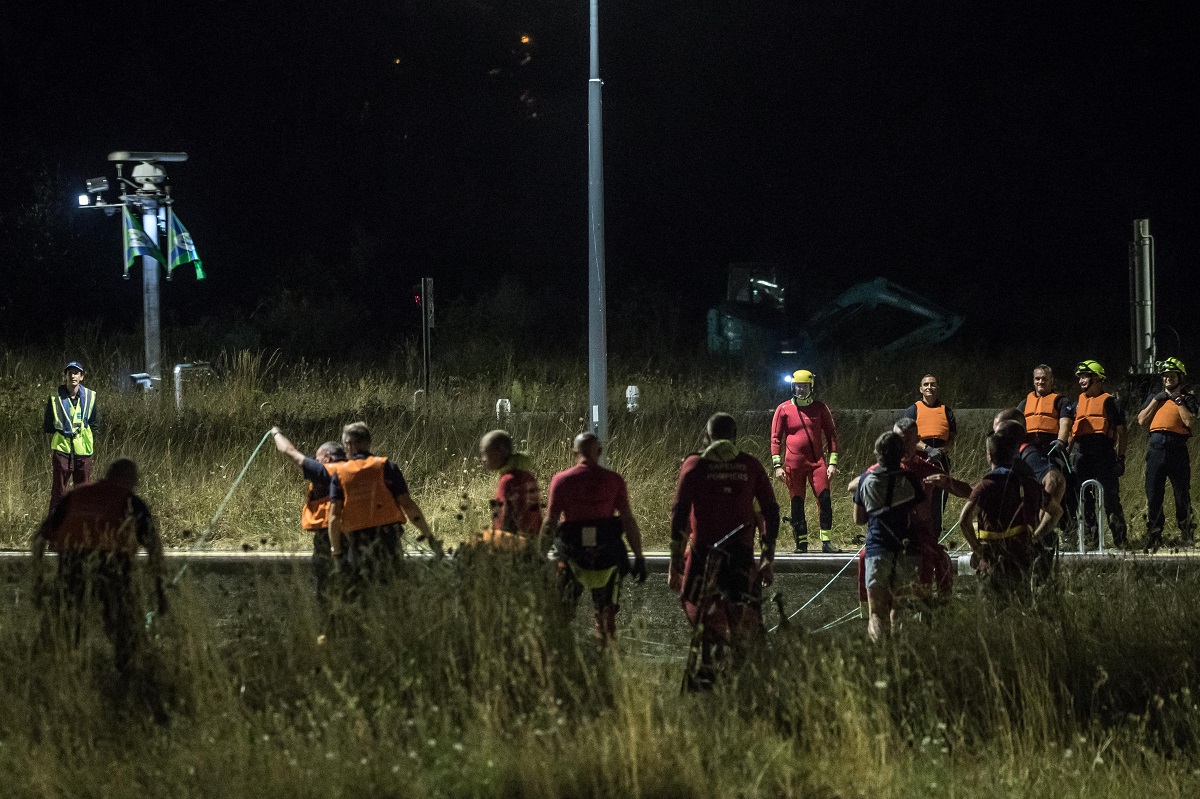 Η Φάλαινα Μπελούγκα παγιδεύτηκε στον Σηκουάνα © EPA/Christophe Petit Tesson