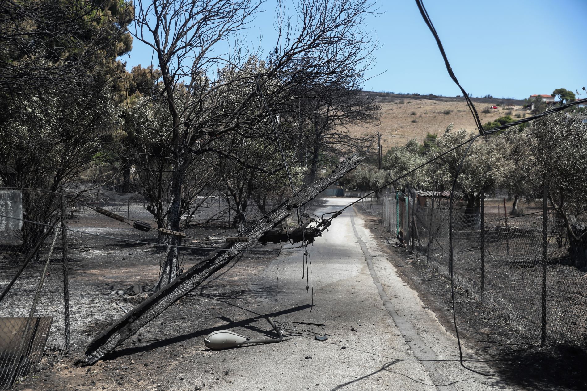 Ανοίγει η πλατφόρμα για τους πληγέντες από την πυρκαγιά της Πεντέλης