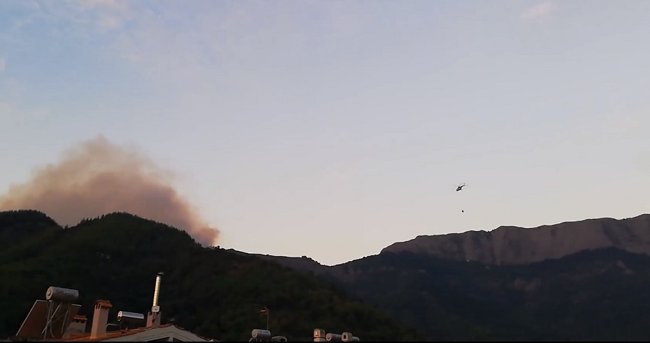 Σε πλήρη εξέλιξη η πυρκαγιά που ξέσπασε στη Θάσο © facebook