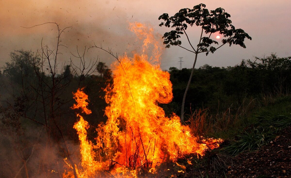 Φωτιές στον Αμαζόνιο © EPA/CHICO RIBEIRO EDITORIAL USE ONLY NO SALES NO ARCHIVE HANDOUT EDITORIAL