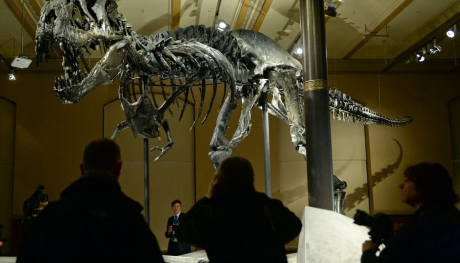 Έκθεση δεινοσαύρων στο Μουσείο Φυσικής Ιστορίας του Βερολίνου © EPA/BRITTA PEDERSEN