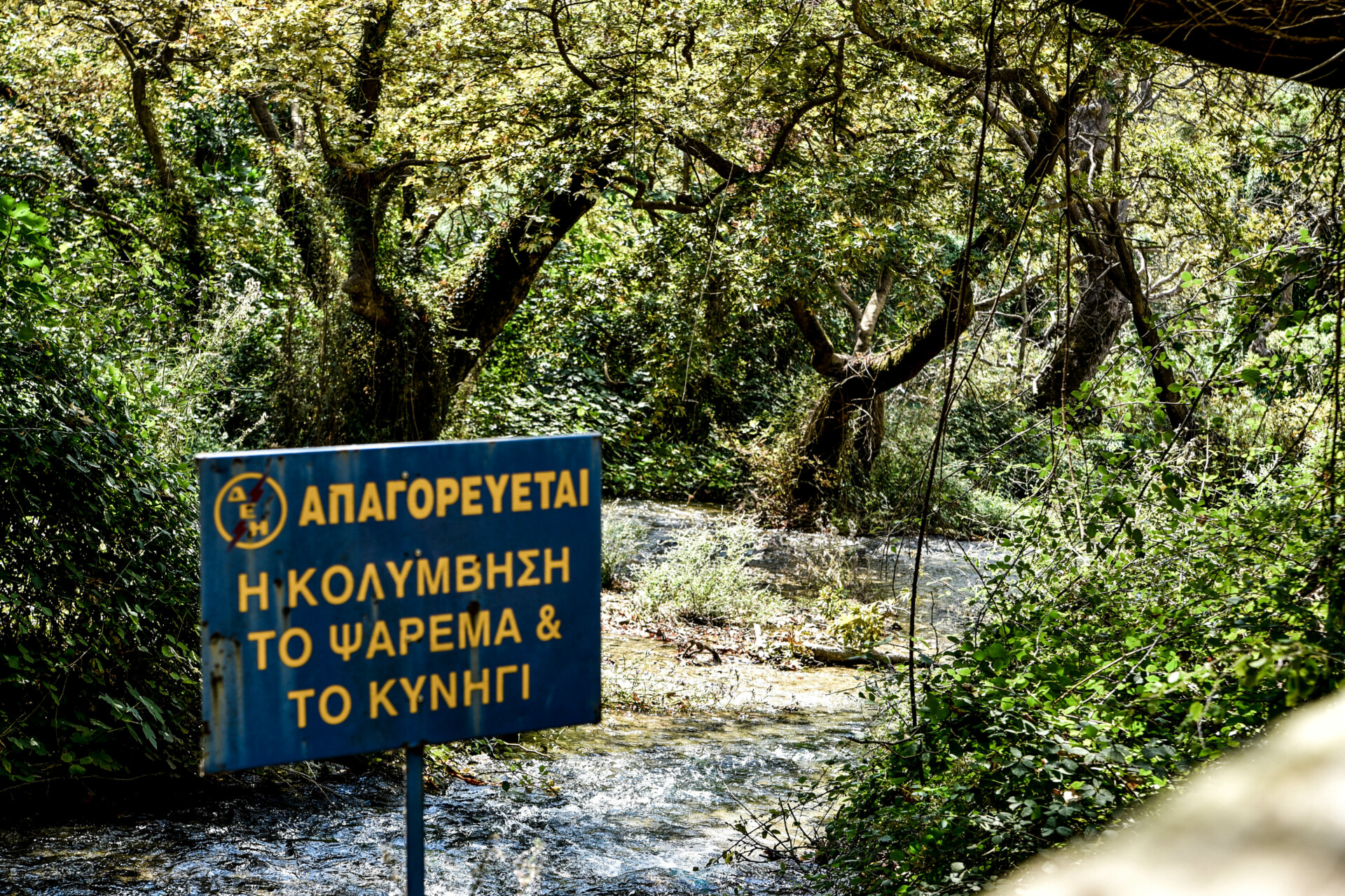 ΥΠΕΝ: Παρέμβαση για τα νεκρά ψάρια στον ποταμό Λούρο