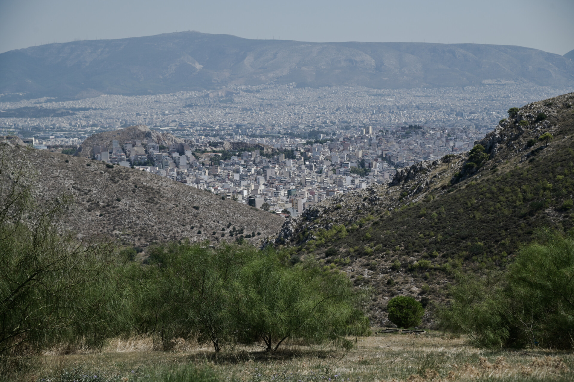 Η έκταση των 3.200 στρεμμάτων της Εκκλησίας της Ελλάδος στο Σχιστό © Eurokinissi