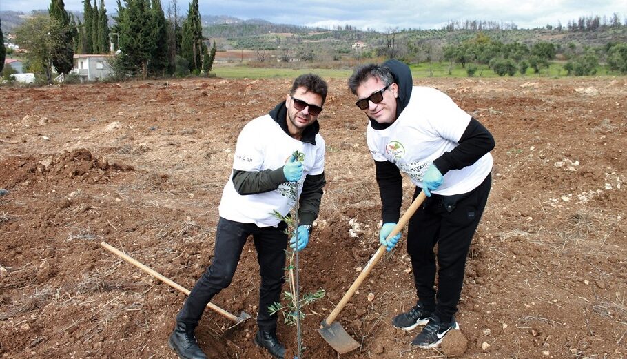 Φύτευση 1.800 ελαιόδεντρων στη Β. Εύβοια από την ΑΓΓΕΛΑΚΗΣ ©ΔΤ