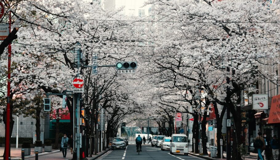 Ιαπωνία, Τόκιο © Unsplash