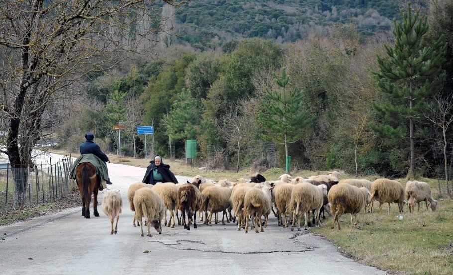 Κτηνοτρόφοι © INTIME