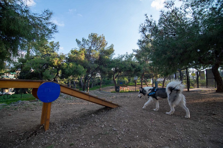 Πάρκα σκύλων © Δήμος Αθηναίων