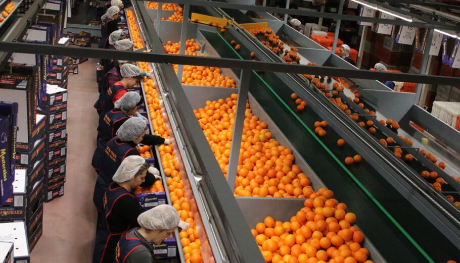 Εργοστάσιο χυμοποίησης και εξαγωγής φρούτων / μεταποίηση @ Eurokinissi / ΠΑΠΑΔΟΠΟΥΛΟΣ ΒΑΣΙΛΗΣ
