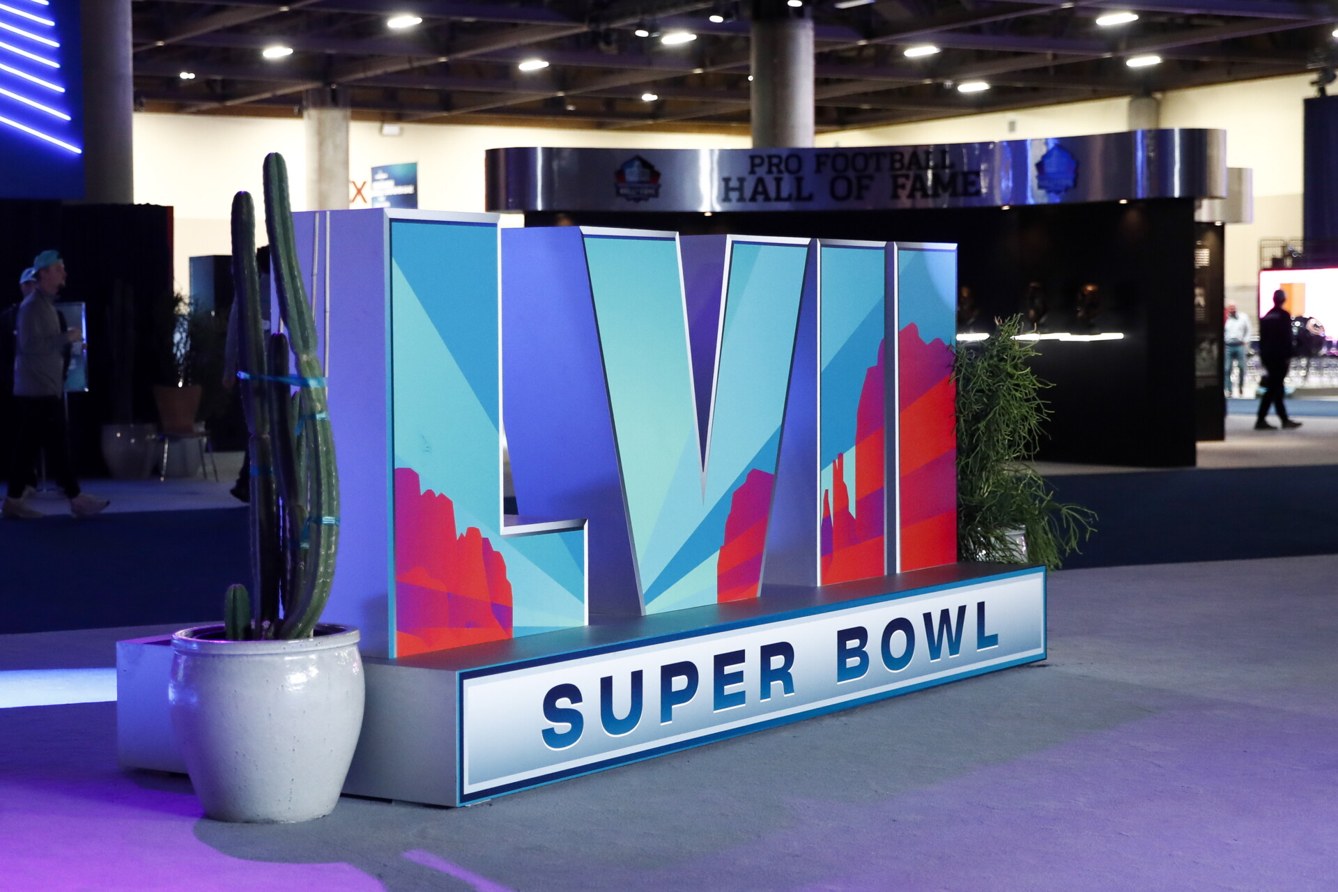 Super Bowl © EPA/CAROLINE BREHMAN