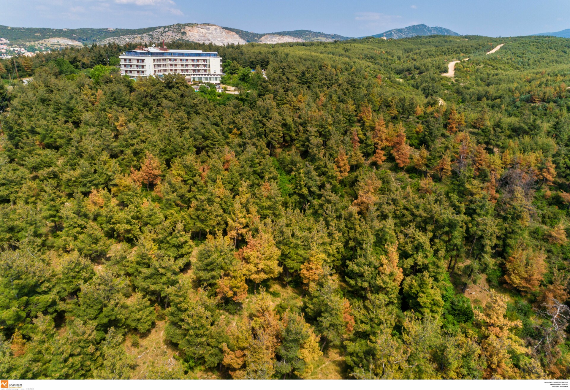 Το δάσος του Σέιχ Σου © (ΜΟΤΙΟΝΤΕΑΜ/ΒΕΡΒΕΡΙΔΗΣ ΒΑΣΙΛΗΣ)