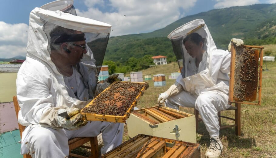 Μελισσοκομία © Eurokinissi