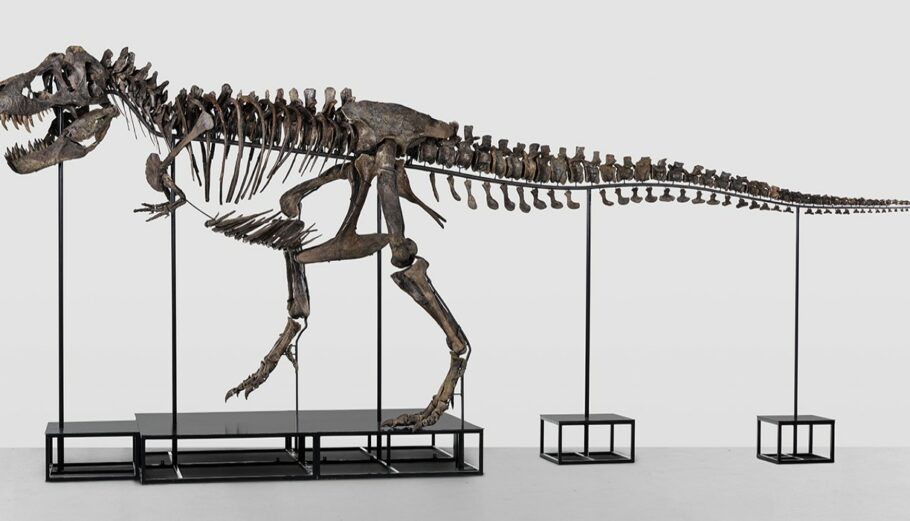 Ο T-Rex «Trinity» © kollerauktionen.ch