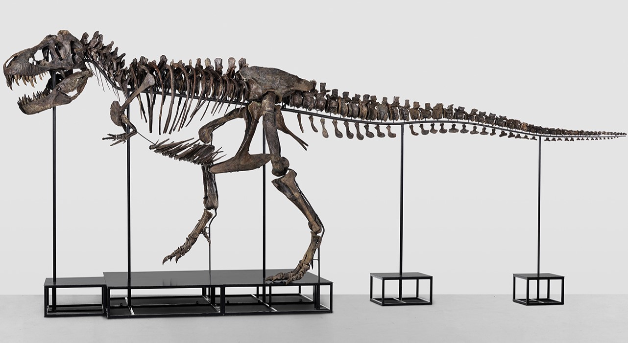 Ο T-Rex «Trinity» © kollerauktionen.ch