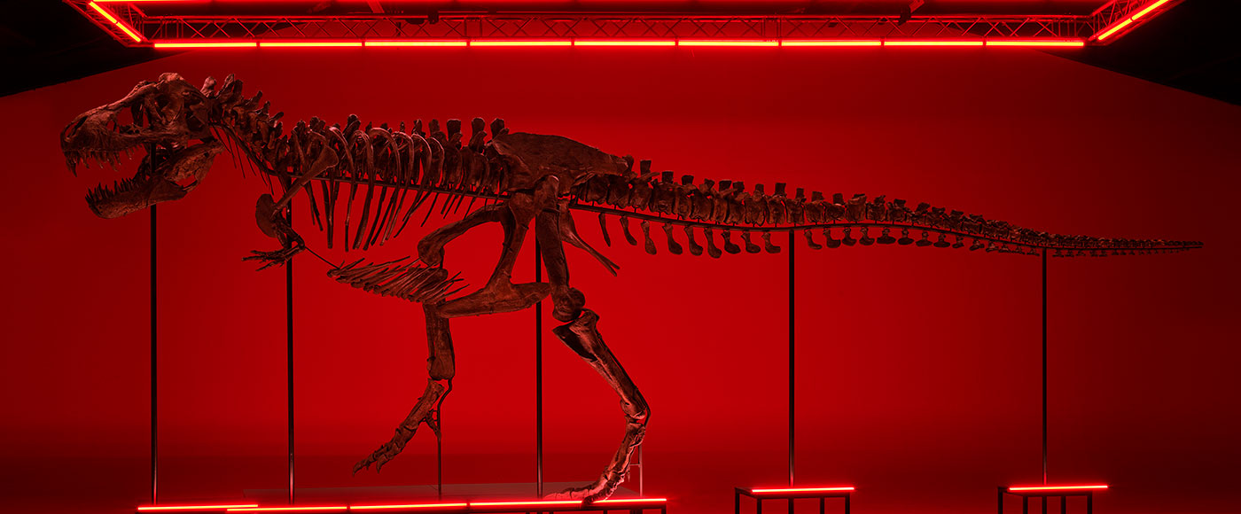 Ο T-Rex «Trinity» © kollerauktionen.ch