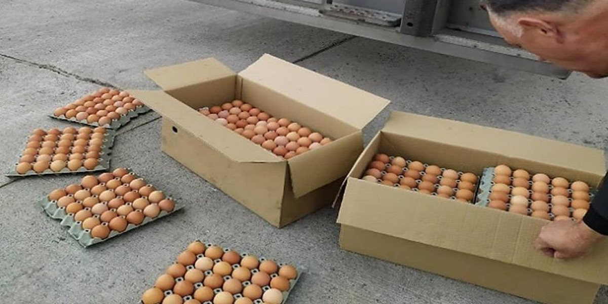 ΣΔΟΕ: Κατασχέθηκαν 302.400 αυγά Βουλγαρίας χωρίς σήμανση