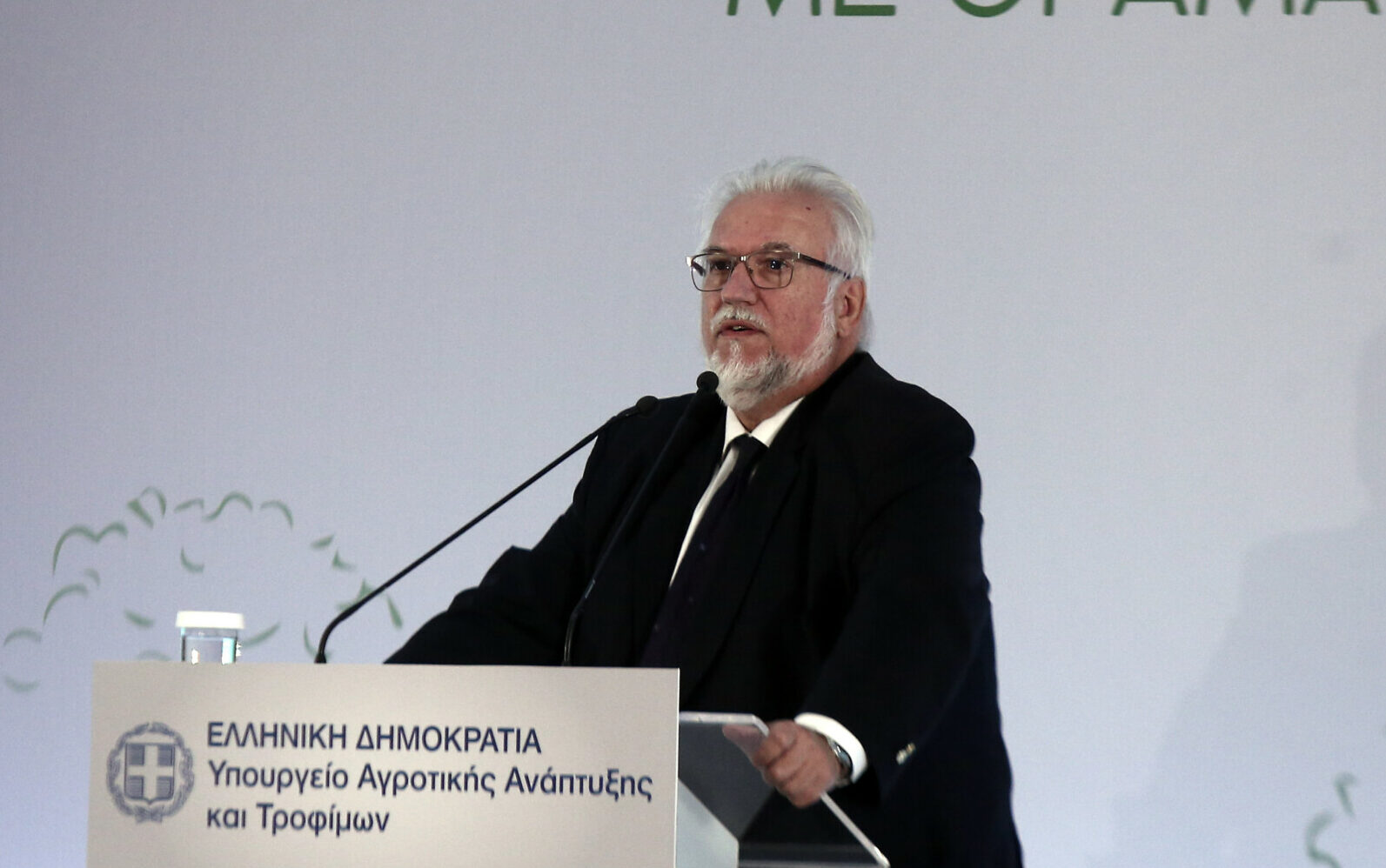 Ο γενικός γραμματέας Ενωσιακών Πόρων και Υποδομών, Δημήτρης Παπαγιαννίδης © Eurokinissi