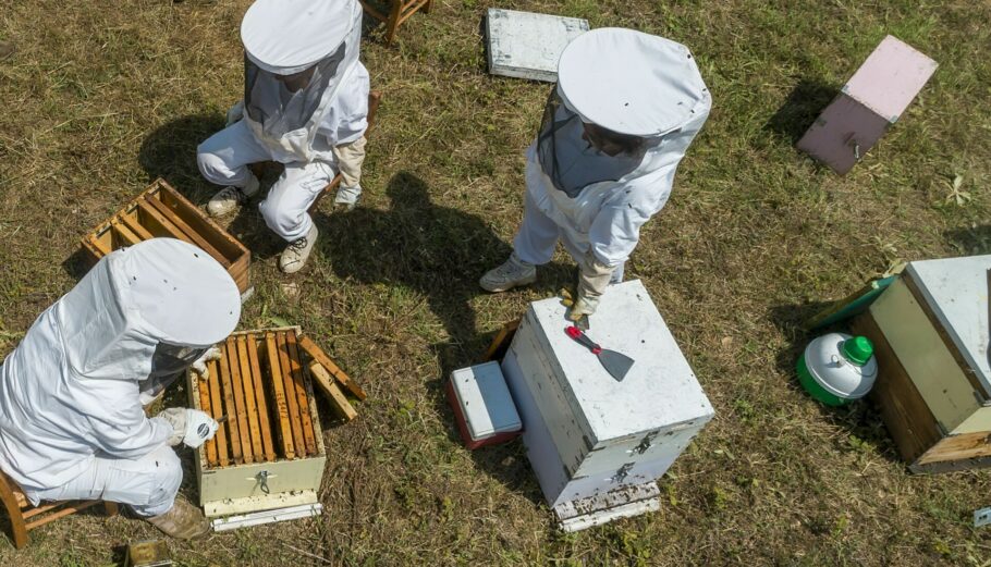 Μελισσοκόμοι © Eurokinissi