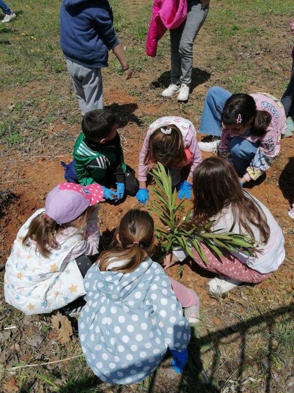 Μικροί φίλοι φυτεύουν τα πρώτα δέντρα © ΔΤ