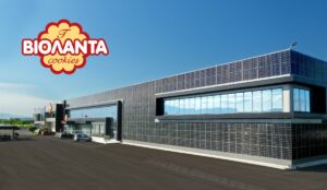 Ποια είναι η Βιολάντα: Η πορεία και το οικονομικό αποτύπωμα της βιομηχανίας από τα Τρίκαλα