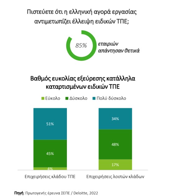 © ΣΕΠΕ / Deloitte