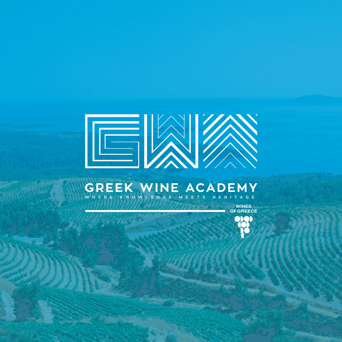 Greek Wine Academy©wspc