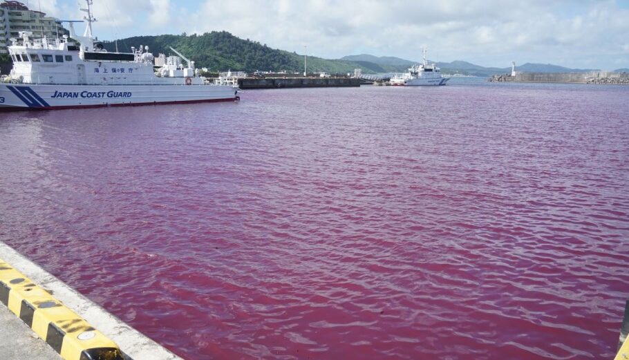 Κόκκινη έγινε η θάλασσα στην Ιαπωνία μετά τη διαρροή ψυκτικού υγρού από εργοστάσιο παραγωγής μπίρας © YouTube (screenshot)