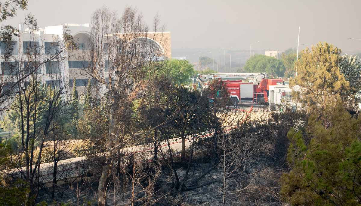 Φωτιά στη Ρόδο © Intime / ΛΕΥΤΕΡΗΣ ΔΑΜΙΑΝΙΔΗΣ