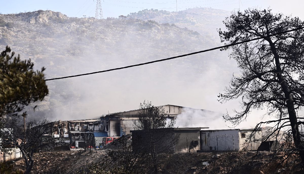 Καμένα στα Δερβενοχώρια © Eurokinissi / ΜΙΧΑΛΗΣ ΚΑΡΑΓΙΑΝΝΗΣ