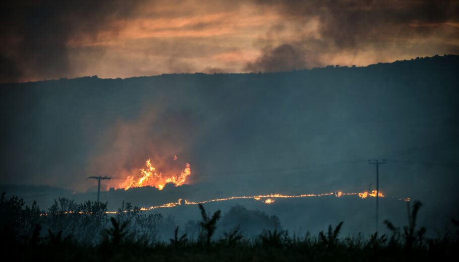 Πυρκαγιά στην Μαγνησία © Εurokinissi