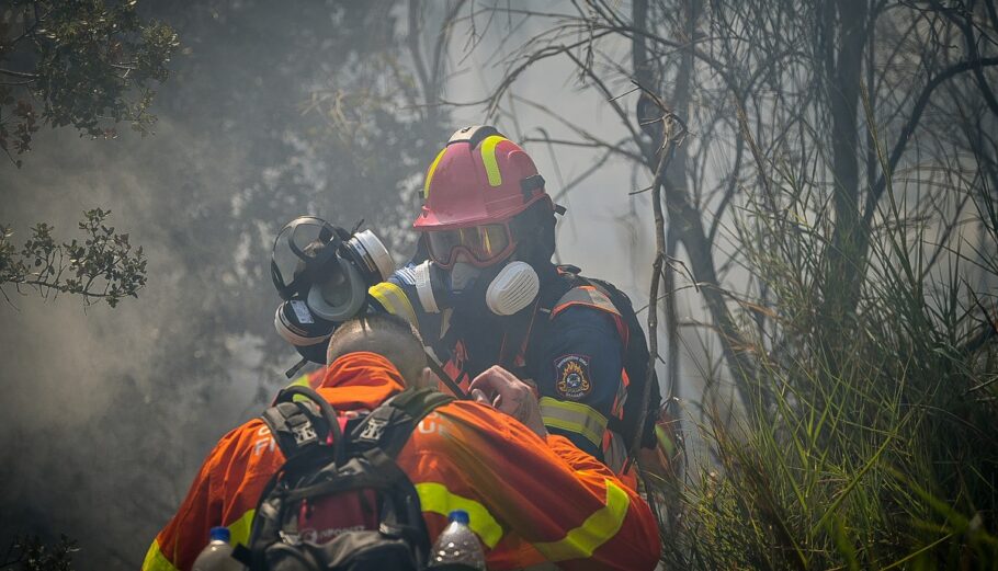 Πυρκαγιά στην Ηλεία © Eurokinissi / ΓΙΑΝΝΗΣ ΣΠΥΡΟΥΝΗΣ/ ILIALIVE.GR