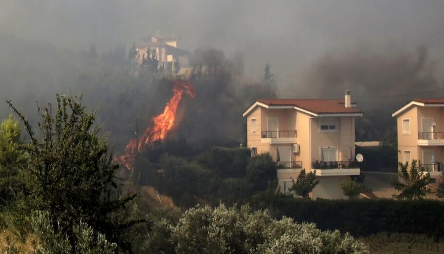 Η φωτιά στη Λαμία απειλεί σπίτια © ΑΠΕ-ΜΠΕ/ΑΡΗΣ ΜΑΡΤΑΚΟΣ