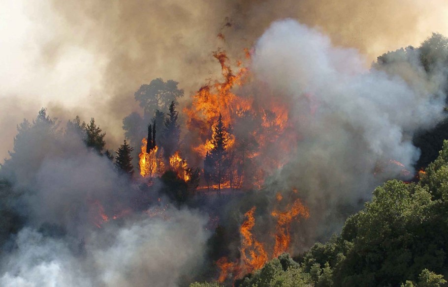 Μεγάλη δασική πυρκαγιά στη Φθιώτιδα κοντά στη Λαμία © EUROKINISSI/ΣΥΝΕΡΓΑΤΗΣ